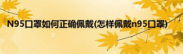 N95口罩如何正確佩戴(怎樣佩戴n95口罩)