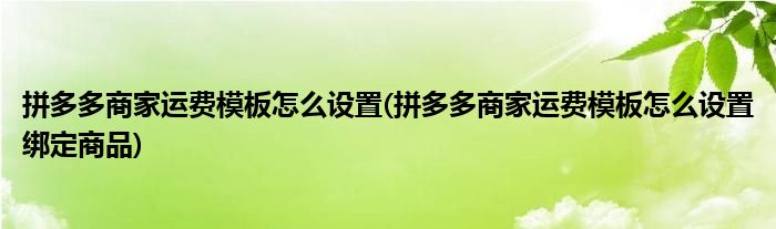 拼多多商家運費模板怎么設(shè)置(拼多多商家運費模板怎么設(shè)置綁定商品)