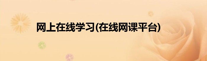 網(wǎng)上在線學(xué)習(xí)(在線網(wǎng)課平臺(tái))