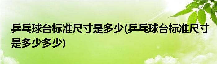 乒乓球臺標準尺寸是多少(乒乓球臺標準尺寸是多少多少)