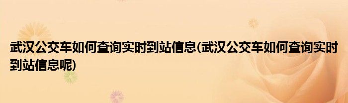 武漢公交車如何查詢實(shí)時(shí)到站信息(武漢公交車如何查詢實(shí)時(shí)到站信息呢)