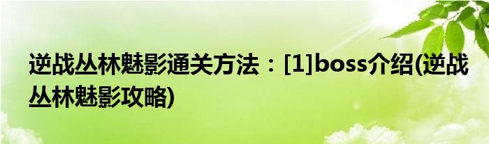 逆戰(zhàn)叢林魅影通關(guān)方法：[1]boss介紹(逆戰(zhàn)叢林魅影攻略)