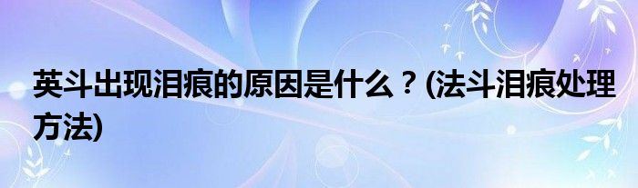 英斗出現(xiàn)淚痕的原因是什么？(法斗淚痕處理方法)