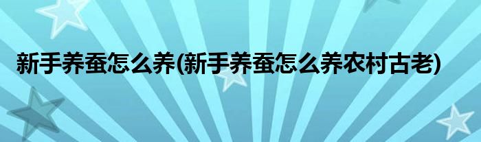 新手養(yǎng)蠶怎么養(yǎng)(新手養(yǎng)蠶怎么養(yǎng)農(nóng)村古老)