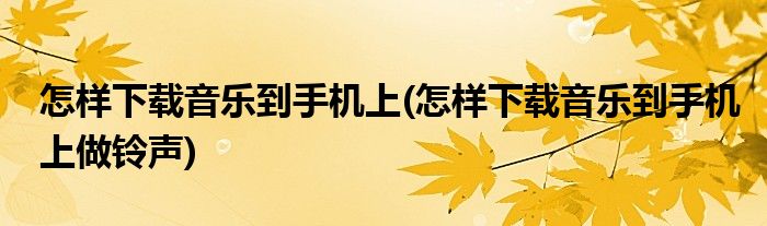 怎樣下載音樂到手機(jī)上(怎樣下載音樂到手機(jī)上做鈴聲)