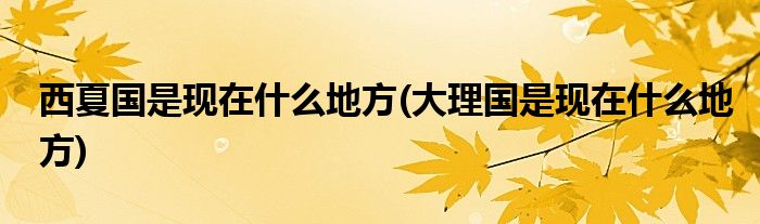 西夏國(guó)是現(xiàn)在什么地方(大理國(guó)是現(xiàn)在什么地方)