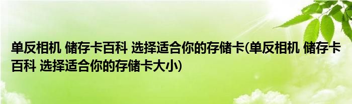 單反相機(jī) 儲(chǔ)存卡百科 選擇適合你的存儲(chǔ)卡(單反相機(jī) 儲(chǔ)存卡百科 選擇適合你的存儲(chǔ)卡大小)