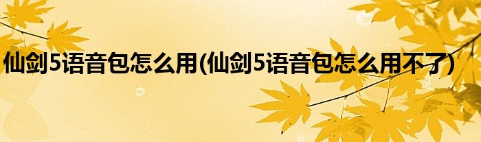 仙劍5語音包怎么用(仙劍5語音包怎么用不了)