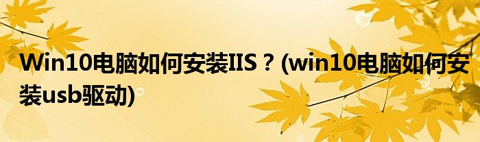 Win10電腦如何安裝IIS？(win10電腦如何安裝usb驅(qū)動(dòng))