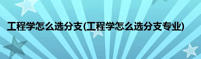 工程學(xué)怎么選分支(工程學(xué)怎么選分支專業(yè))