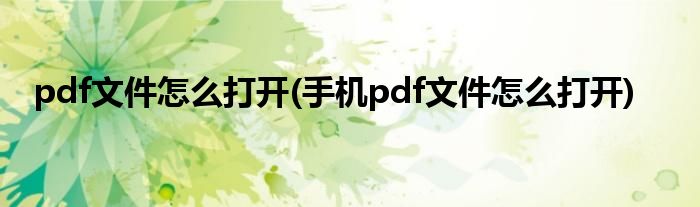 pdf文件怎么打開(手機pdf文件怎么打開)