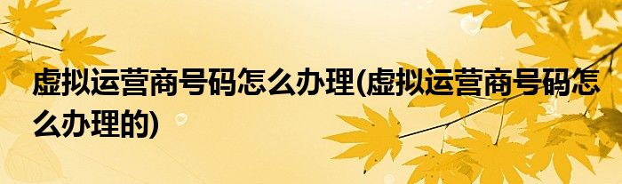 虛擬運(yùn)營商號(hào)碼怎么辦理(虛擬運(yùn)營商號(hào)碼怎么辦理的)