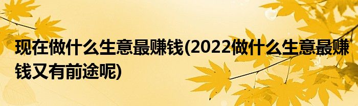 現(xiàn)在做什么生意最賺錢(qián)(2022做什么生意最賺錢(qián)又有前途呢)