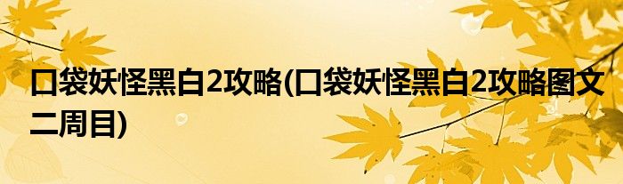 口袋妖怪黑白2攻略(口袋妖怪黑白2攻略圖文二周目)