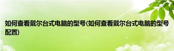 如何查看戴爾臺(tái)式電腦的型號(hào)(如何查看戴爾臺(tái)式電腦的型號(hào)配置)