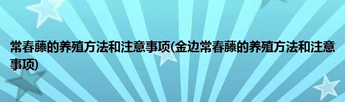 常春藤的養(yǎng)殖方法和注意事項(金邊常春藤的養(yǎng)殖方法和注意事項)