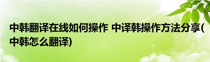 中韓翻譯在線如何操作 中譯韓操作方法分享(中韓怎么翻譯)