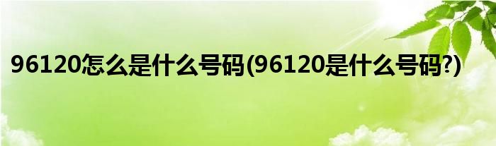 96120怎么是什么號(hào)碼(96120是什么號(hào)碼?)