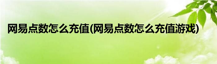 網(wǎng)易點(diǎn)數(shù)怎么充值(網(wǎng)易點(diǎn)數(shù)怎么充值游戲)