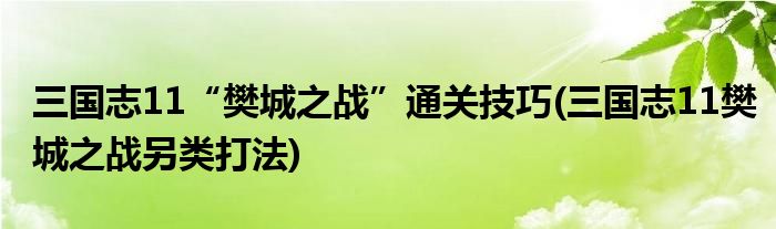 三國(guó)志11“樊城之戰(zhàn)”通關(guān)技巧(三國(guó)志11樊城之戰(zhàn)另類(lèi)打法)