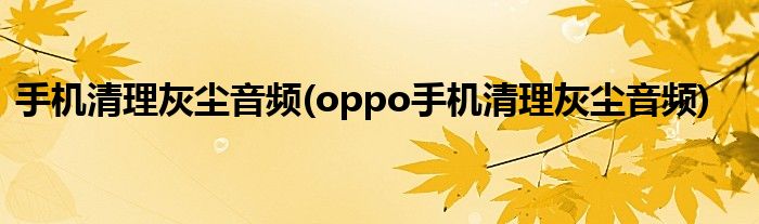 手機清理灰塵音頻(oppo手機清理灰塵音頻)