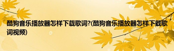 酷狗音樂播放器怎樣下載歌詞?(酷狗音樂播放器怎樣下載歌詞視頻)