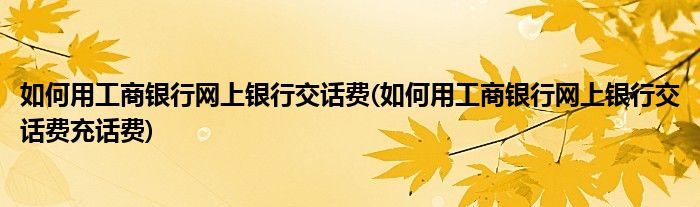 如何用工商銀行網(wǎng)上銀行交話費(fèi)(如何用工商銀行網(wǎng)上銀行交話費(fèi)充話費(fèi))