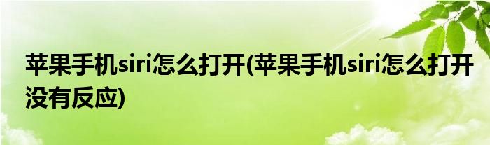 蘋果手機(jī)siri怎么打開(蘋果手機(jī)siri怎么打開沒有反應(yīng))