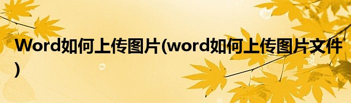 Word如何上傳圖片(word如何上傳圖片文件)