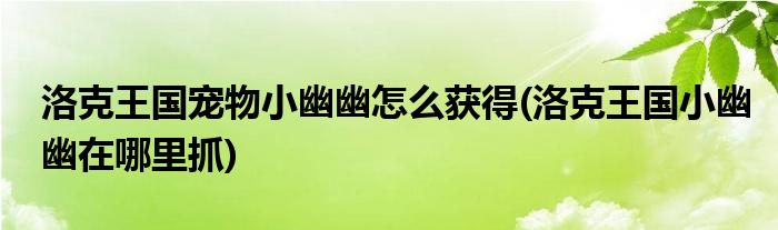 洛克王國(guó)寵物小幽幽怎么獲得(洛克王國(guó)小幽幽在哪里抓)