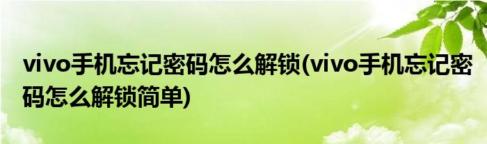 vivo手機忘記密碼怎么解鎖(vivo手機忘記密碼怎么解鎖簡單)