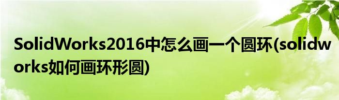 SolidWorks2016中怎么畫(huà)一個(gè)圓環(huán)(solidworks如何畫(huà)環(huán)形圓)