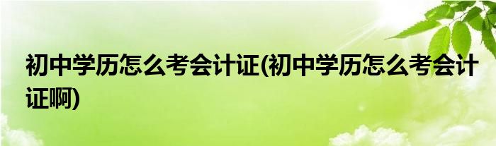 初中學(xué)歷怎么考會(huì)計(jì)證(初中學(xué)歷怎么考會(huì)計(jì)證啊)