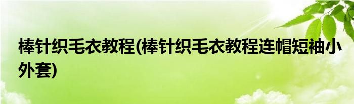 棒針織毛衣教程(棒針織毛衣教程連帽短袖小外套)