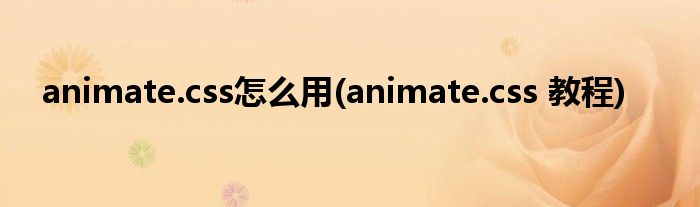 animate.css怎么用(animate.css 教程)