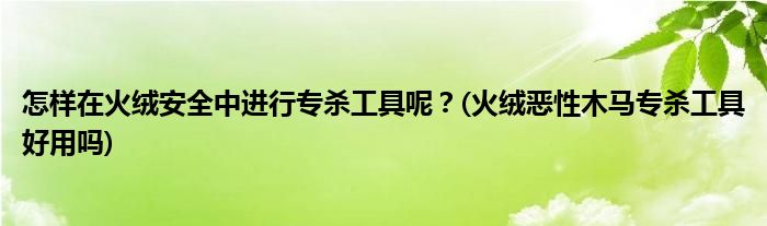 怎樣在火絨安全中進(jìn)行專殺工具呢？(火絨惡性木馬專殺工具好用嗎)