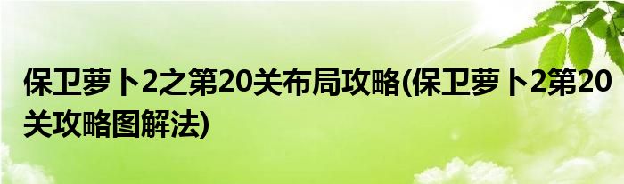 保衛(wèi)蘿卜2之第20關(guān)布局攻略(保衛(wèi)蘿卜2第20關(guān)攻略圖解法)