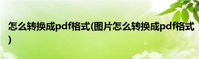 怎么轉(zhuǎn)換成pdf格式(圖片怎么轉(zhuǎn)換成pdf格式)