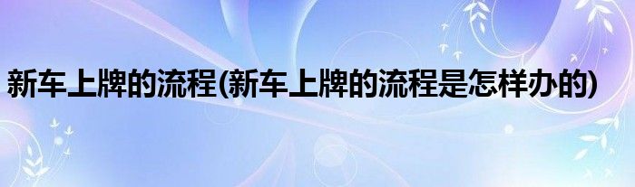 新車上牌的流程(新車上牌的流程是怎樣辦的)