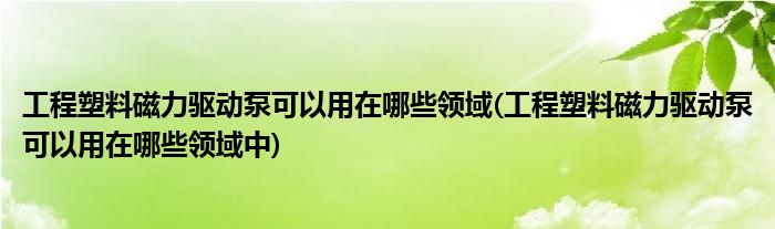 工程塑料磁力驅(qū)動(dòng)泵可以用在哪些領(lǐng)域(工程塑料磁力驅(qū)動(dòng)泵可以用在哪些領(lǐng)域中)