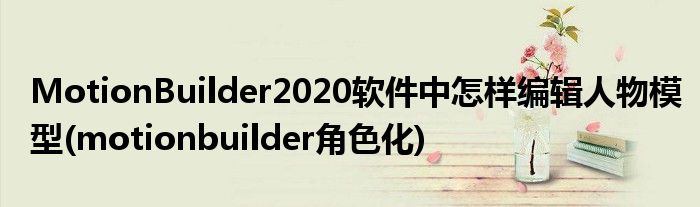 MotionBuilder2020軟件中怎樣編輯人物模型(motionbuilder角色化)