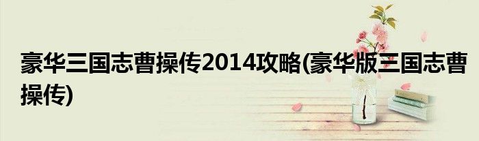 豪華三國志曹操傳2014攻略(豪華版三國志曹操傳)