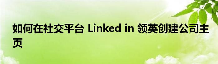 如何在社交平臺(tái) Linked in 領(lǐng)英創(chuàng)建公司主頁(yè)