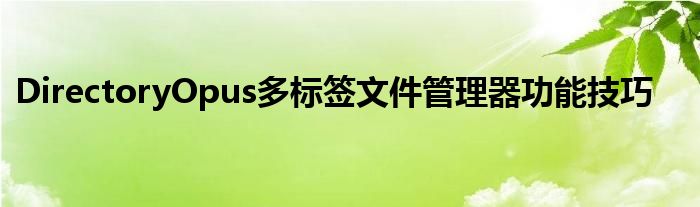 DirectoryOpus多標(biāo)簽文件管理器功能技巧