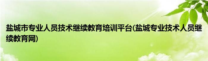 鹽城市專業(yè)人員技術(shù)繼續(xù)教育培訓(xùn)平臺(tái)(鹽城專業(yè)技術(shù)人員繼續(xù)教育網(wǎng))