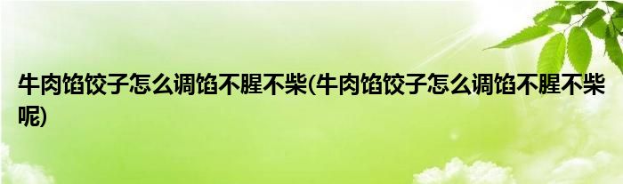 牛肉餡餃子怎么調(diào)餡不腥不柴(牛肉餡餃子怎么調(diào)餡不腥不柴呢)