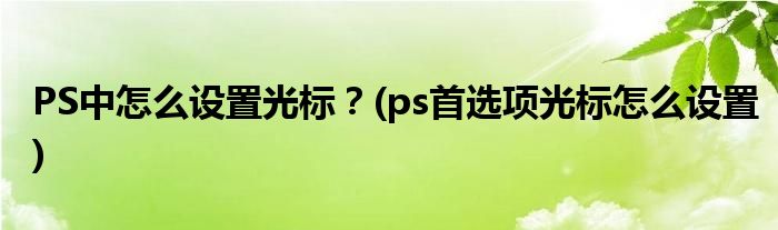 PS中怎么設(shè)置光標(biāo)？(ps首選項光標(biāo)怎么設(shè)置)