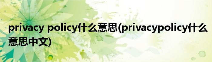 privacy policy什么意思(privacypolicy什么意思中文)