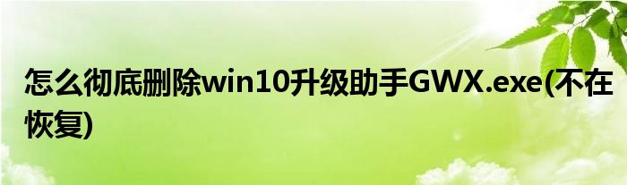 怎么徹底刪除win10升級助手GWX.exe(不在恢復)