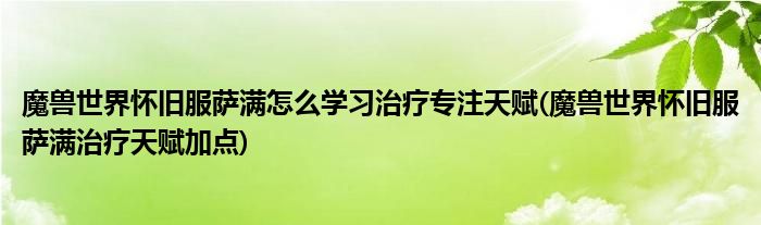 魔獸世界懷舊服薩滿怎么學(xué)習(xí)治療專注天賦(魔獸世界懷舊服薩滿治療天賦加點)